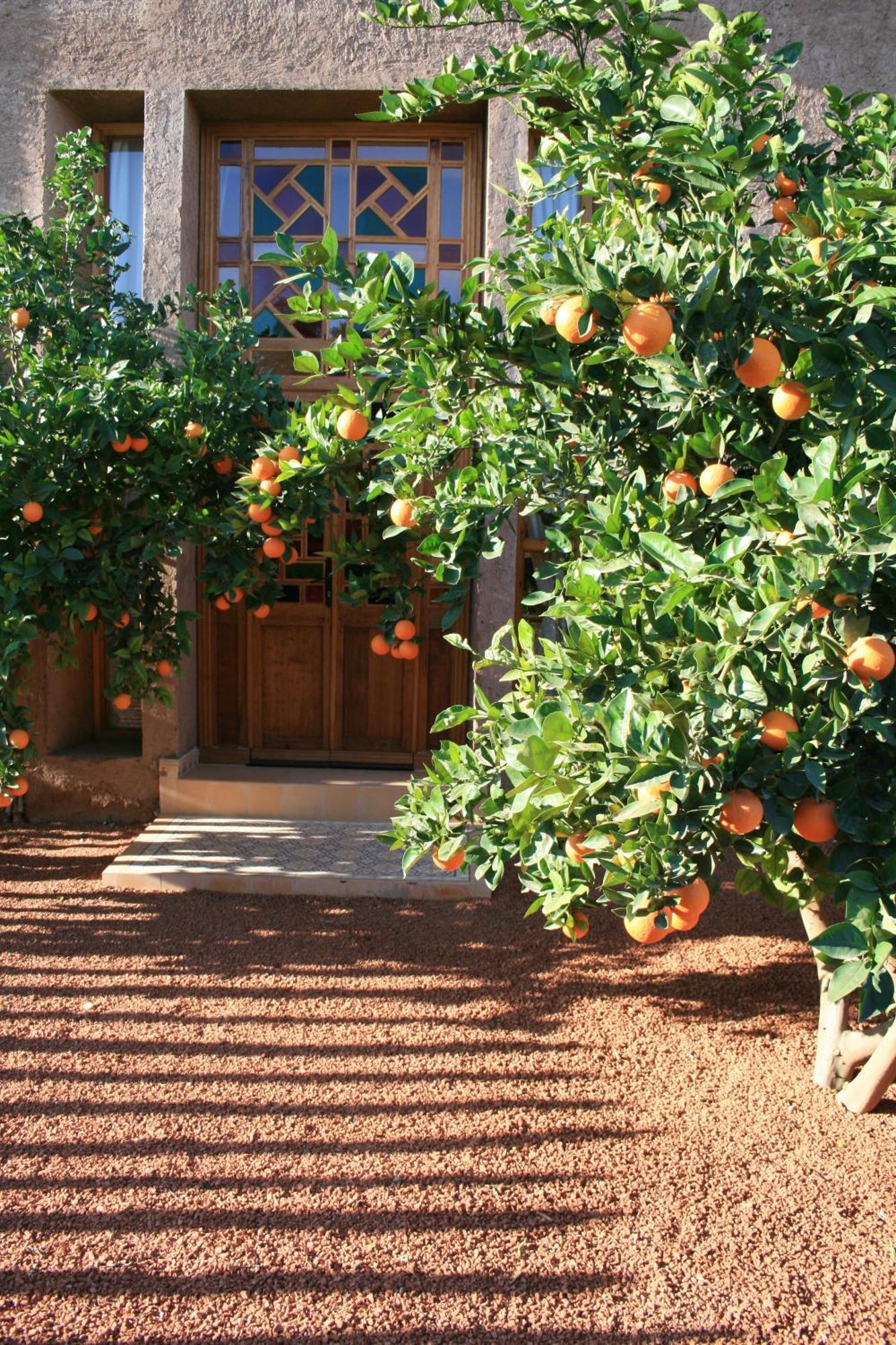 Casa Taos Hotel Douar Azib el goundafi Екстериор снимка